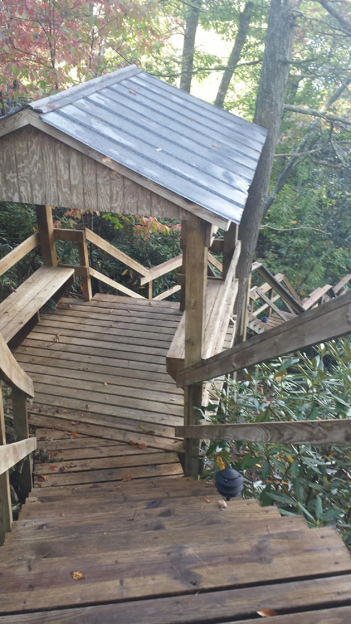 Metal roofed shelter over wooden steps on a wooded walkway — Skylight Repair & Installation work by our crew in Isle Of Palms